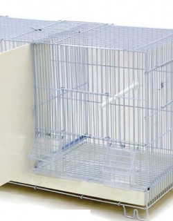 ΕΠΑΓΓΕΛΜΑΤΙΚΗ ΖΕΥΓΑΡΩΣΤΡΑ