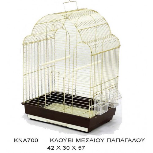 ΚΛΟΥΒΙ ΜΕΣΑΙΟΥ ΠΑΠΑΓΑΛΟΥ